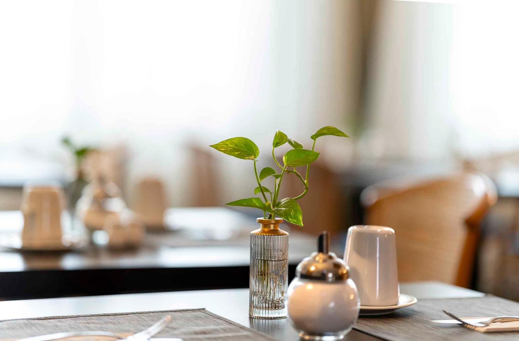 Plaza Inn Blankenburg Ditzingen, Sure Hotel Collection Exterior photo